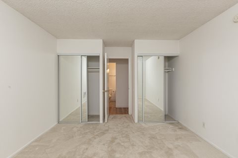 Bedroom with Carpet Floors and Mirrored Wardrobe Closets